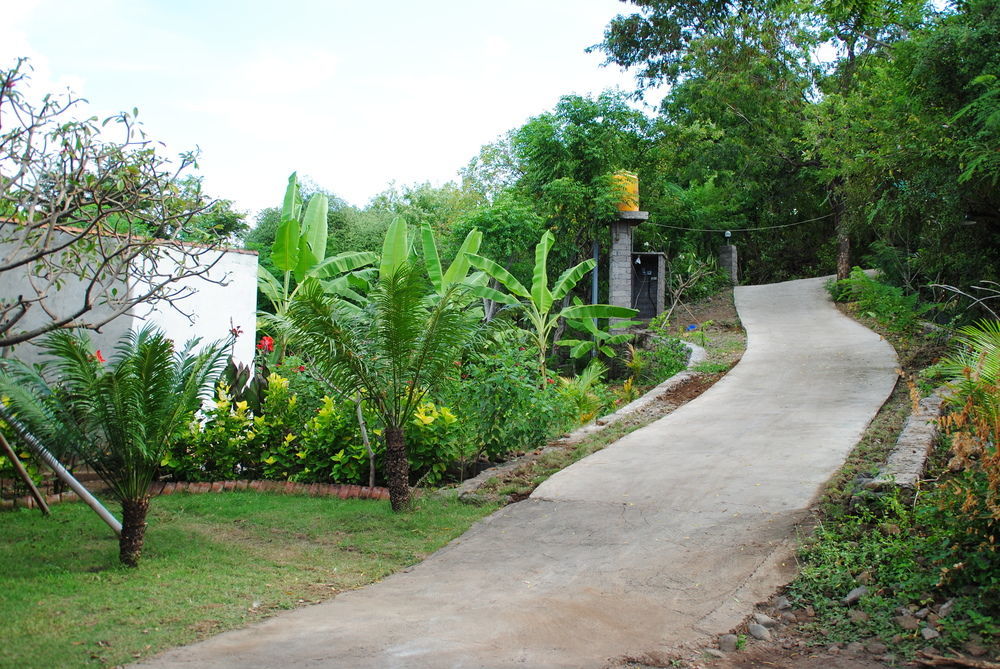 Tiara Homestay Pemuteran Exteriér fotografie